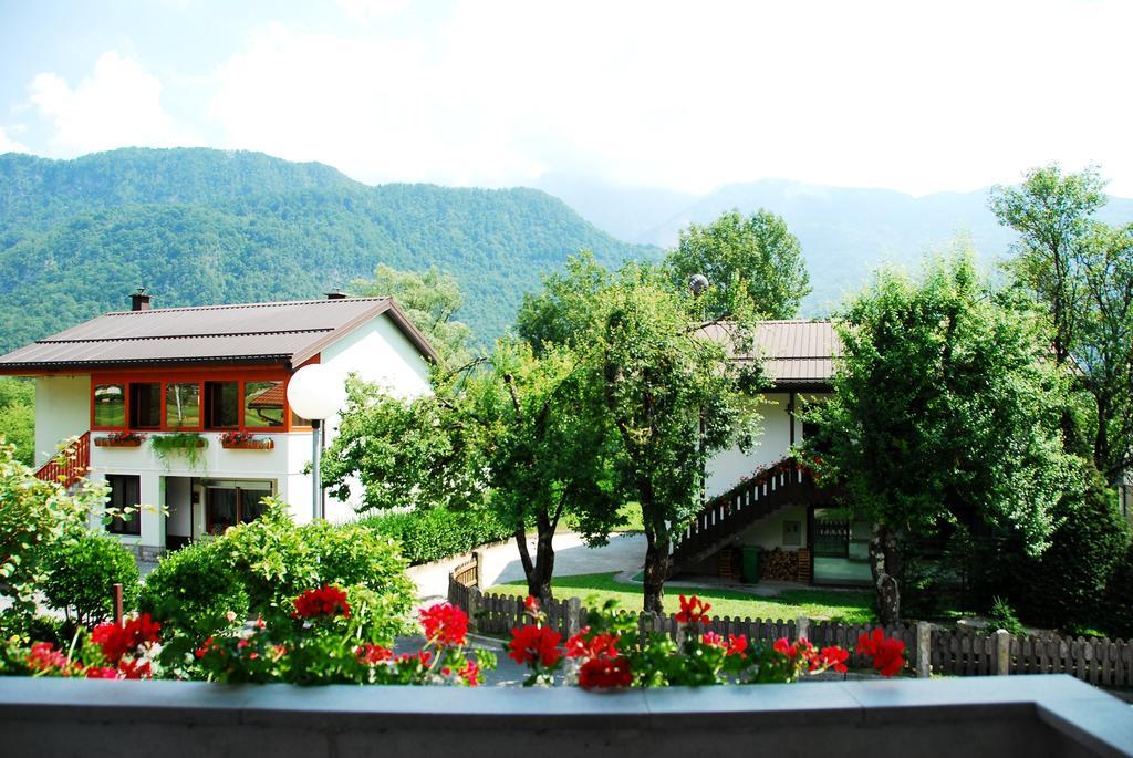 Budget Homestay Кобарід Номер фото