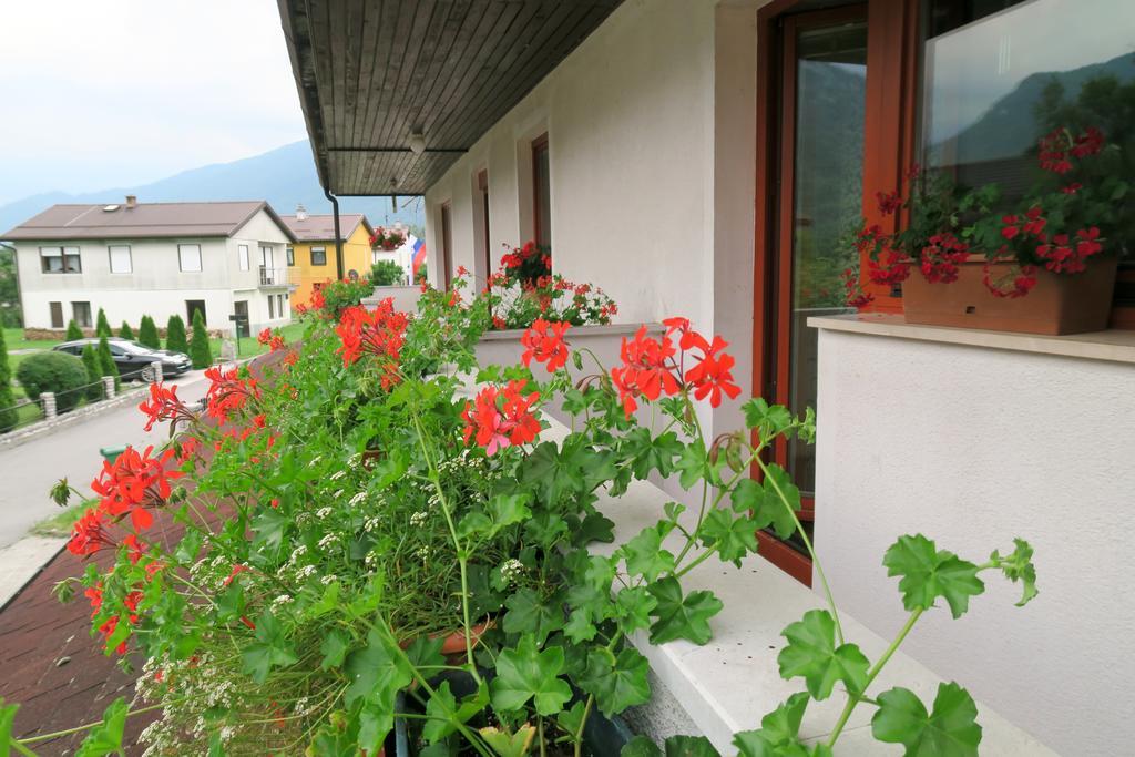 Budget Homestay Кобарід Екстер'єр фото
