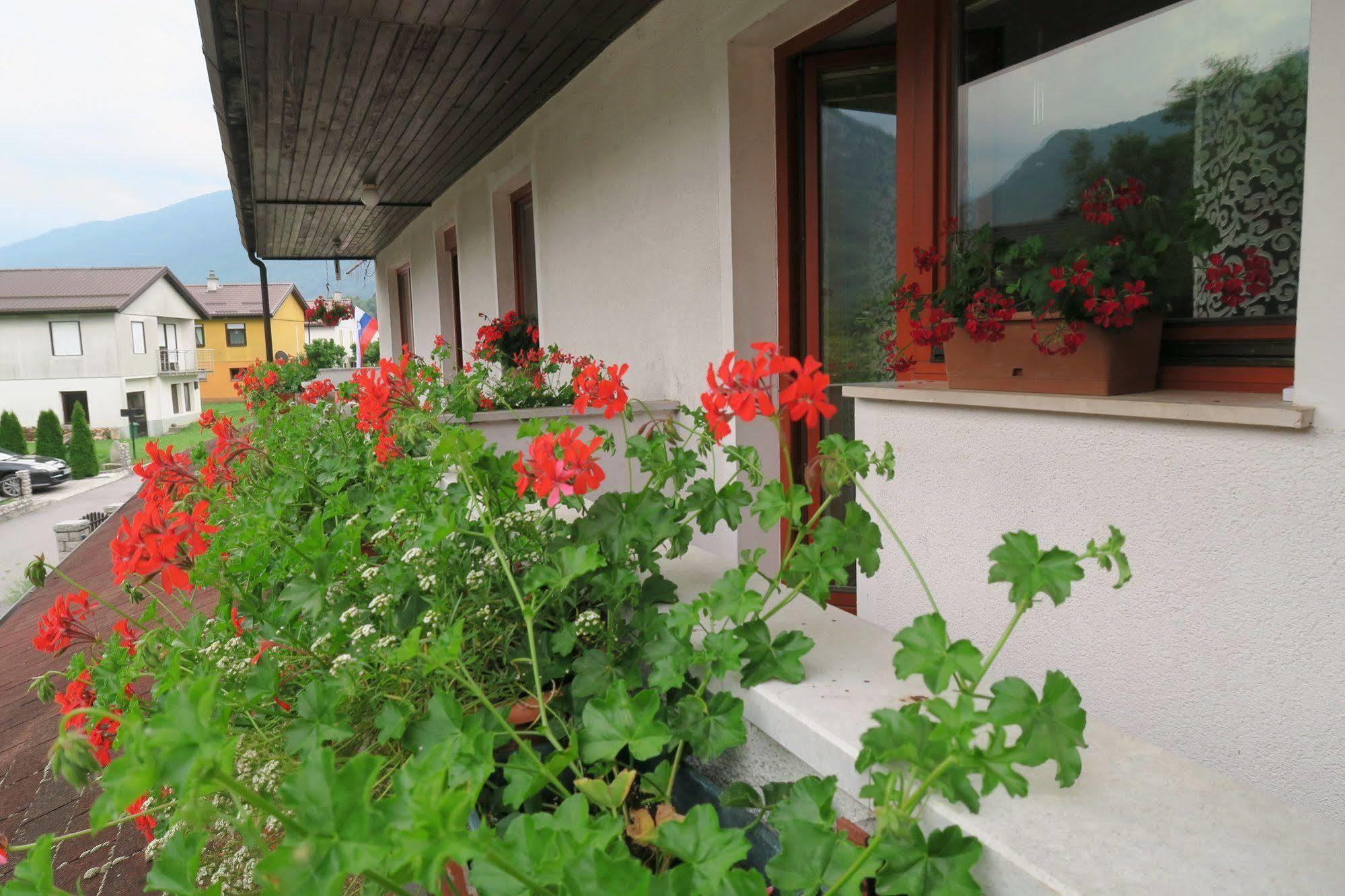 Budget Homestay Кобарід Екстер'єр фото